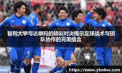 新利体育